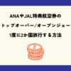 ANAやJAL特典航空券のストップオーバー(途中降機)/オープンジョーで1度に2か国旅行する方法